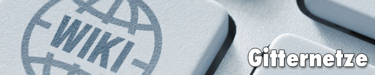 Gitternetze im Fachwort-Wiki