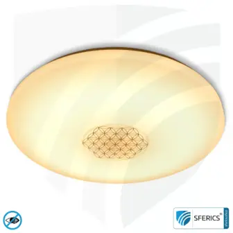 LED Vollspektrum Deckenleuchte SUNNY mit Fernbedienung | bis 4000 Lumen, dimmbar | bis 5900 Kelvin, farbveränderbar | CRI 95 | traumhaftes Licht im Wohnzimmer und Homeoffice 26 LED Vollspektrum Deckenleuchte SUNNY mit Fernbedienung | bis 4000 Lumen, dimmbar | bis 5900 Kelvin, farbveränderbar | CRI 95 | traumhaftes Licht im Wohnzimmer und Homeoffice