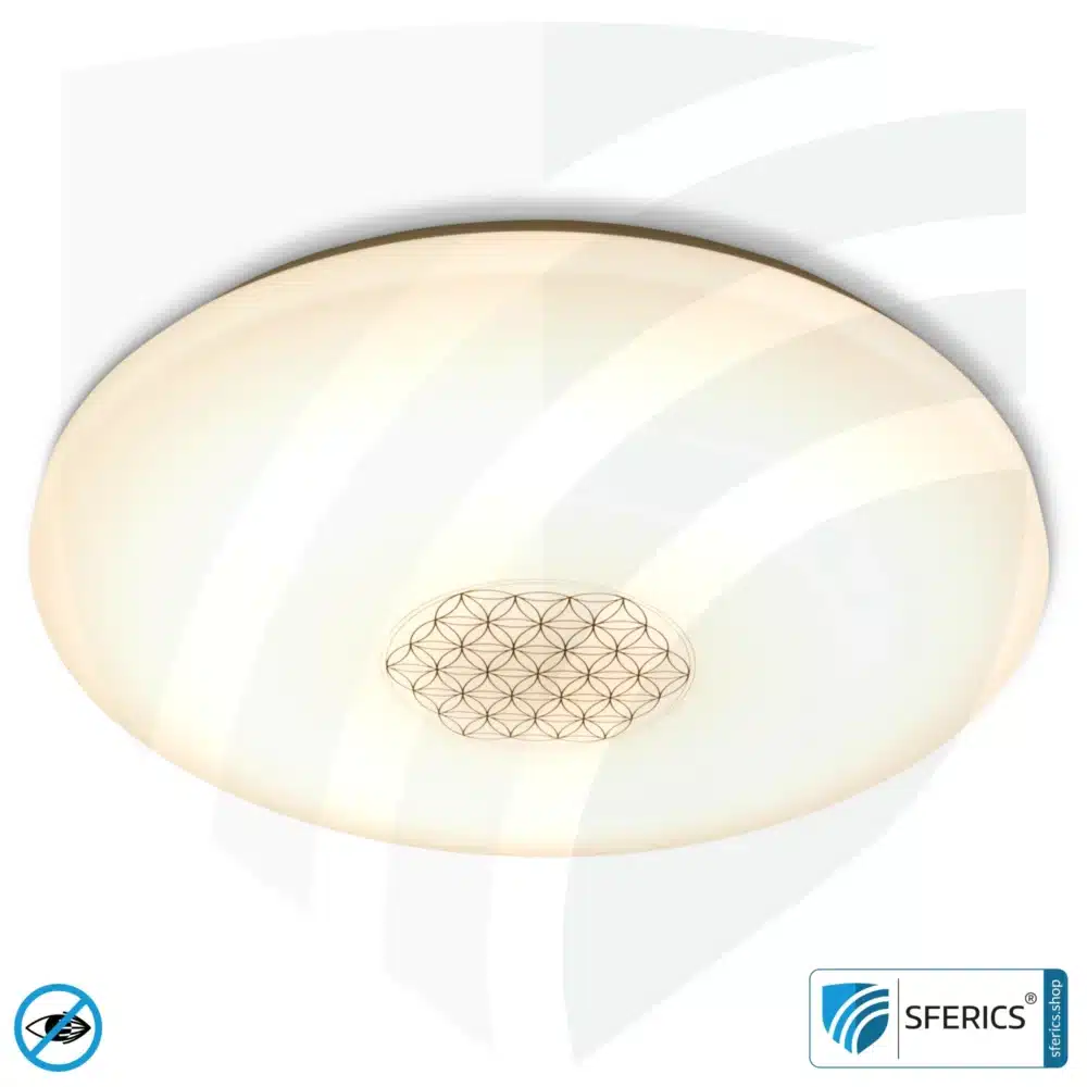 LED Vollspektrum Deckenleuchte SUNNY mit Fernbedienung | bis 4000 Lumen, dimmbar | bis 5900 Kelvin, farbveränderbar | CRI 95 | traumhaftes Licht im Wohnzimmer und Homeoffice